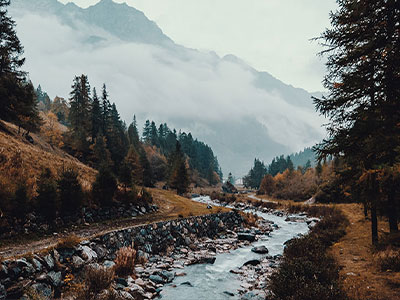 2025/11/18 已修复无法播放视频，如搜索无法搜索到内容，请切换网址