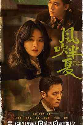 《风吹半夏》免费在线播放｜剧情,爱情·中国大陆