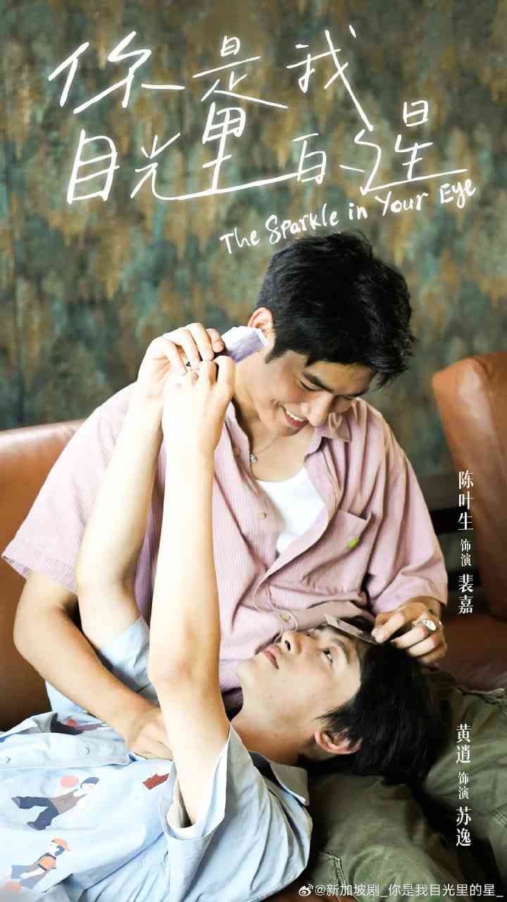 《你是我目光里的星》免费在线播放｜剧情,同性·中国大陆