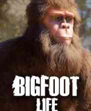 《大脚怪生活》免安装中文版》免费下载|模拟经营·自然·探索·休闲·冒险