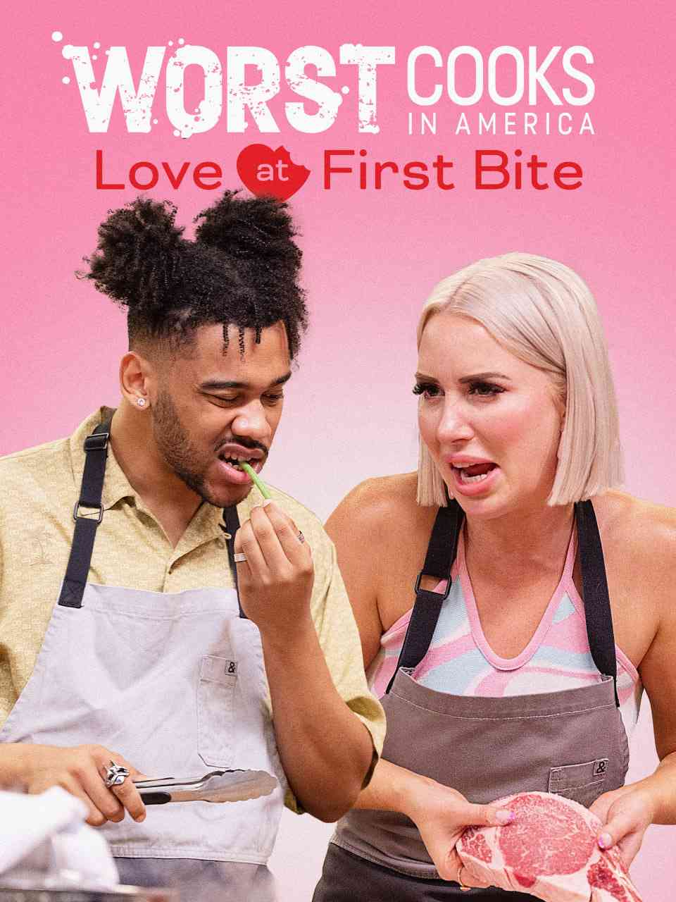 《糟糕厨子大改造 第二十六季》免费高清无广告在线播放|真人秀·美国·2025