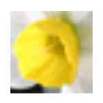 《明朗打字》免费版》免费下载|学习工具·1.02