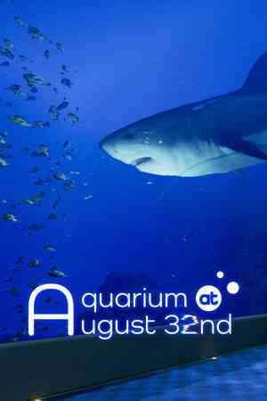 《8月32日的水族馆》免费下载|冒险游戏·步行模拟·冒险