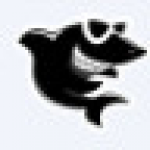 《黑鲨装机大师最新版》免费下载|系统工具·2.5.43.1170