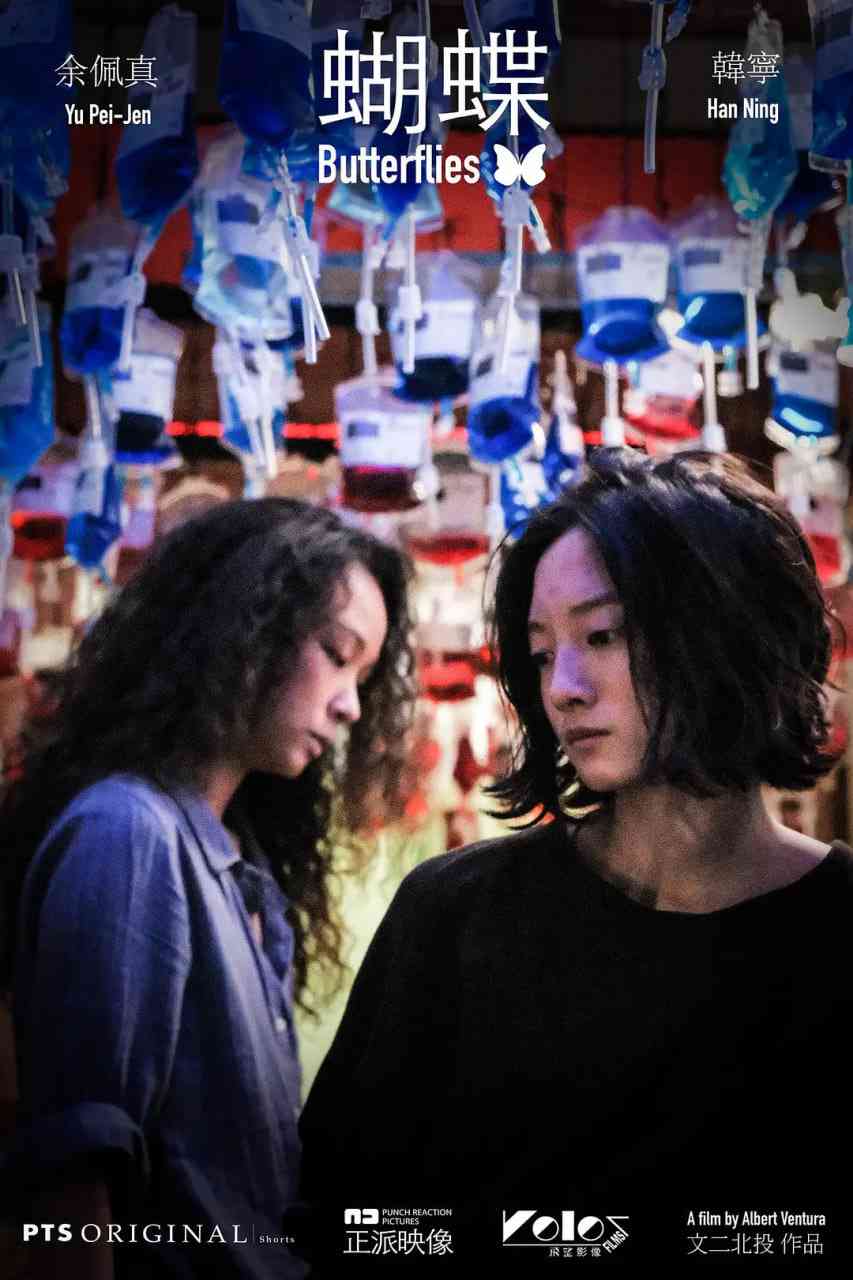 《蝴蝶 2021》免费高清无广告在线播放|剧情·中国台湾·2021
