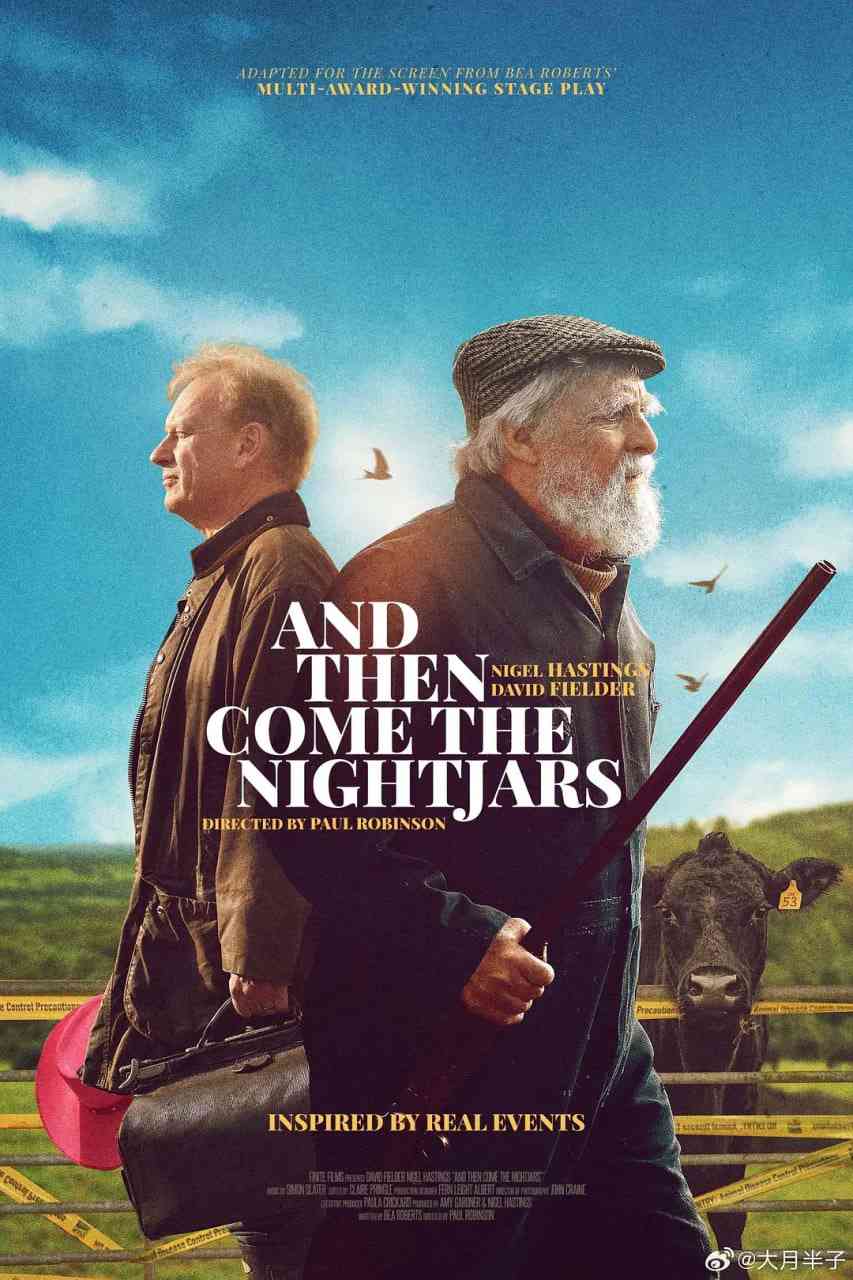 《然后夜鹰来了》免费高清无广告在线播放|剧情·英国·2023