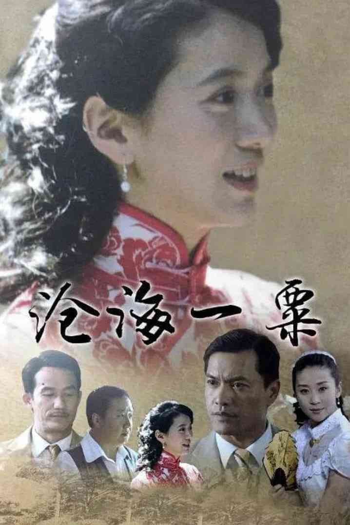 《沧海一粟》免费高清无广告在线播放|剧情·中国大陆·2017