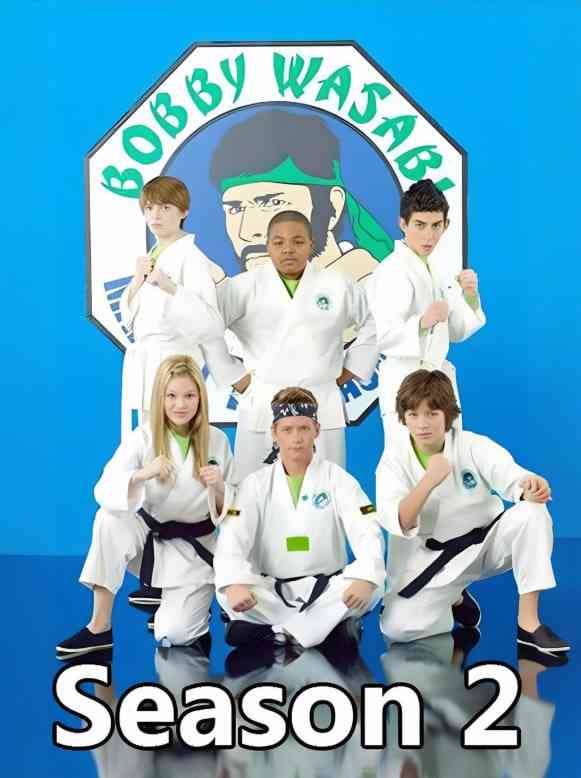 《欢乐道场 第二季》免费高清无广告在线播放|喜剧,动作,家庭·美国·2012