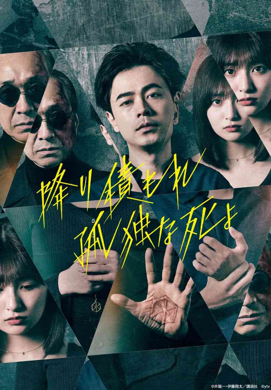 《如积雪般的永寂》免费高清无广告在线播放|剧情,悬疑·日本·2024