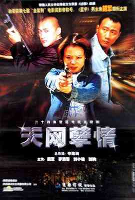 《天网孽情》免费高清无广告在线播放|内地,国产·中国大陆·2001