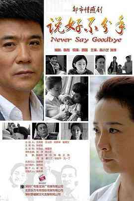 《说好不分手》免费高清无广告在线播放|剧情,家庭·中国大陆·2011