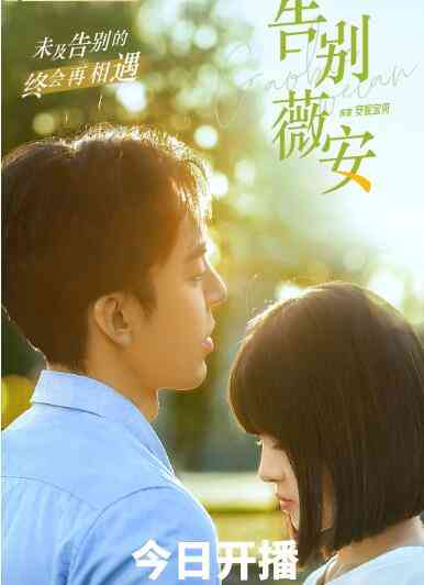 《告别薇安》免费高清无广告在线播放|爱情,内地,国产·中国大陆·2022
