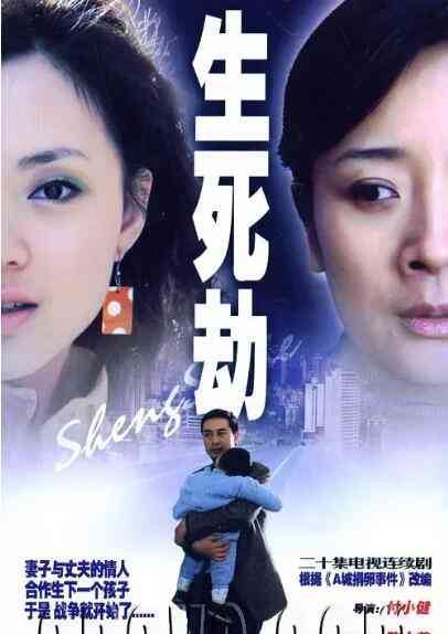《生死劫》免费高清无广告在线播放|爱情.家庭·中国大陆·2005