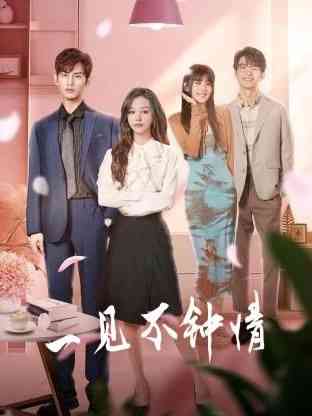 《一见不钟情》免费高清无广告在线播放|剧情,爱情·中国大陆·2024