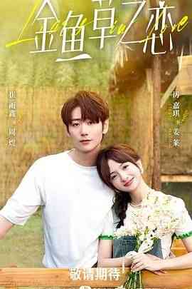 《无法抗拒的谎言》免费高清无广告在线播放|剧情,爱情·中国大陆·2024