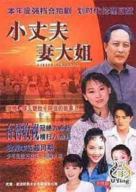《小丈夫 妻大姐》免费高清无广告在线播放|台湾·中国台湾·1999