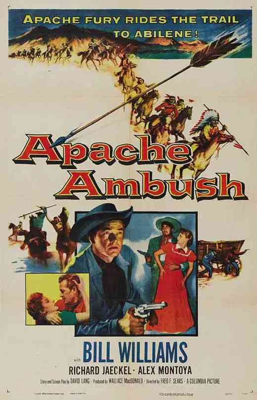 《血战奔牛阵》免费高清无广告在线播放|西部·美国·1955