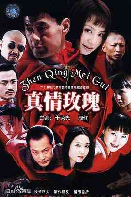《真情玫瑰》免费高清无广告在线播放|剧情,动作·中国大陆·2002