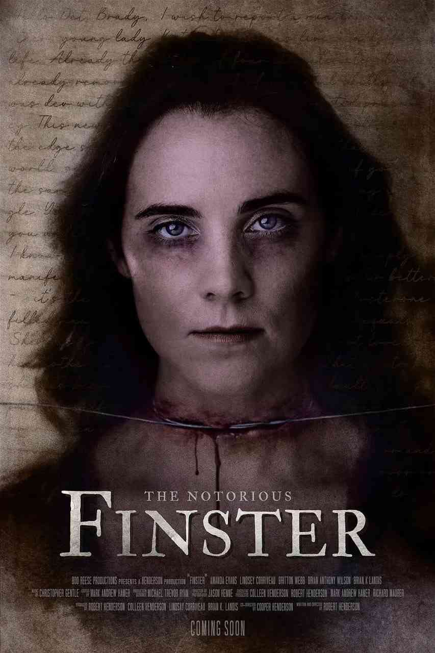 《连环杀手芬斯特》免费高清无广告在线播放|惊悚,犯罪·美国·2024