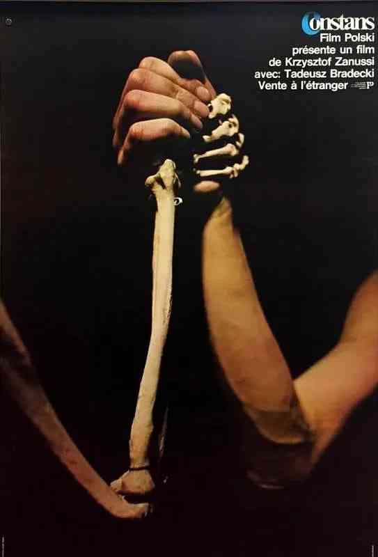 《山巅的呼唤》免费高清无广告在线播放|剧情·波兰·1980