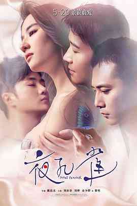《夜孔雀》免费高清无广告在线播放|剧情·中国大陆·2015