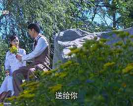 《女人莲心》免费高清无广告在线播放|爱情·中国大陆·0