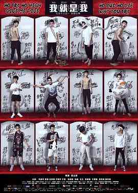 《我就是我》免费高清无广告在线播放|纪录片·中国大陆·2014