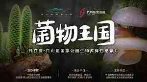 《菌物王国》免费高清无广告在线播放|纪录片,纪录·中国大陆·2023