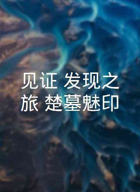 《见证·发现之旅：楚墓魅印》免费高清无广告在线播放|纪录片·大陆·2010