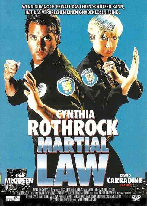 《卧底飞龙》免费高清无广告在线播放|动作·美国·1991