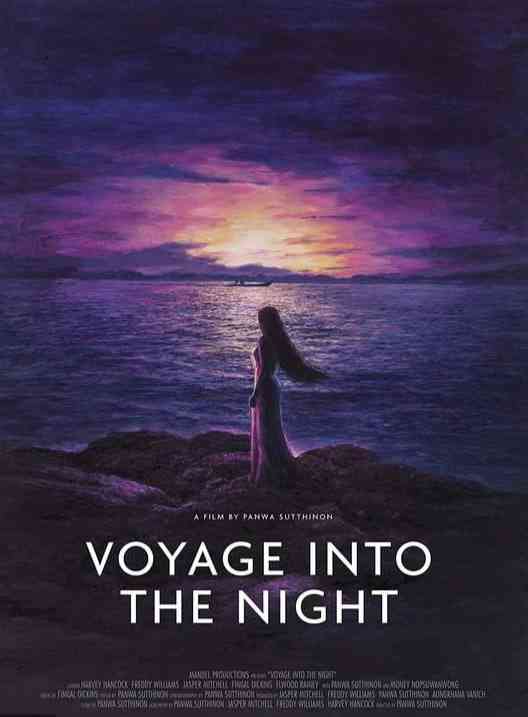 《夜航》免费高清无广告在线播放|犯罪,戏剧,神秘,惊悚·英国·2021