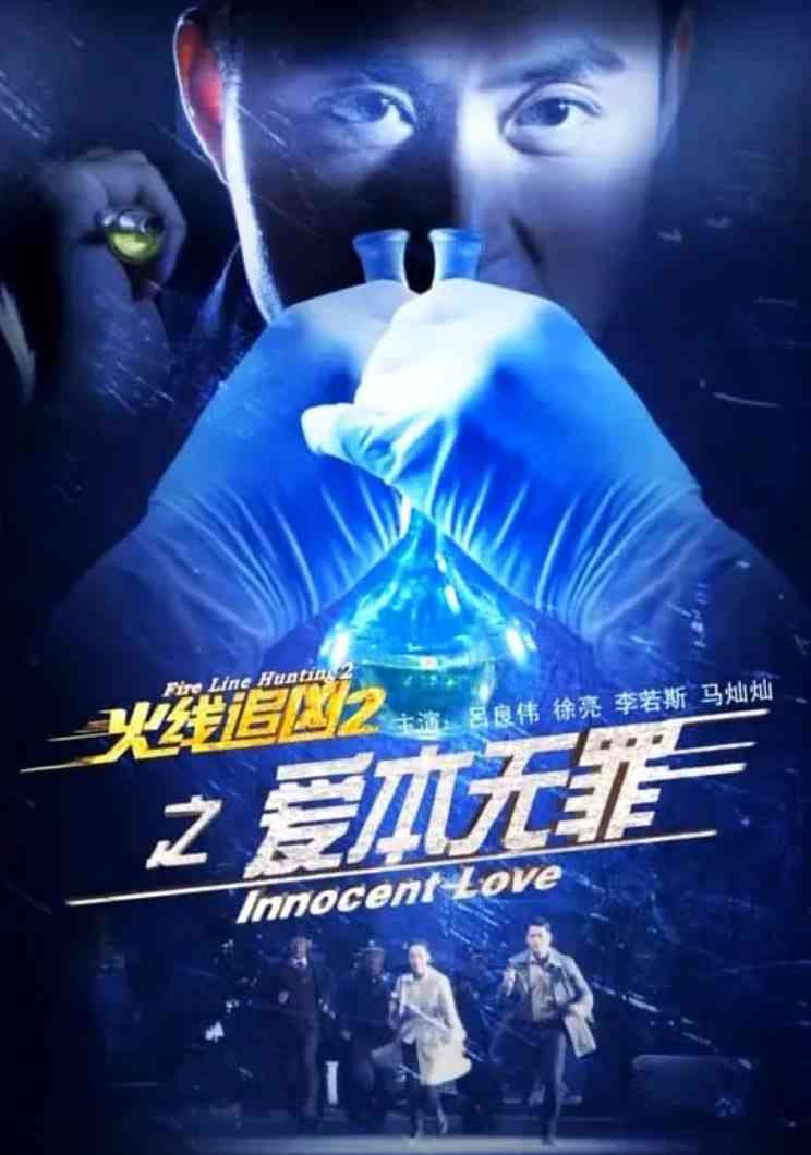 《火线追凶2之爱本无罪》免费高清无广告在线播放|剧情,犯罪·中国大陆·2013