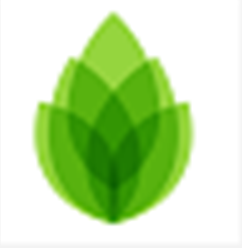 《芦笋(极简录屏)》免费下载|影音播放·0.11.11.2