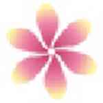 《Petalv2.17.0》免费下载|影音播放·2.17.0