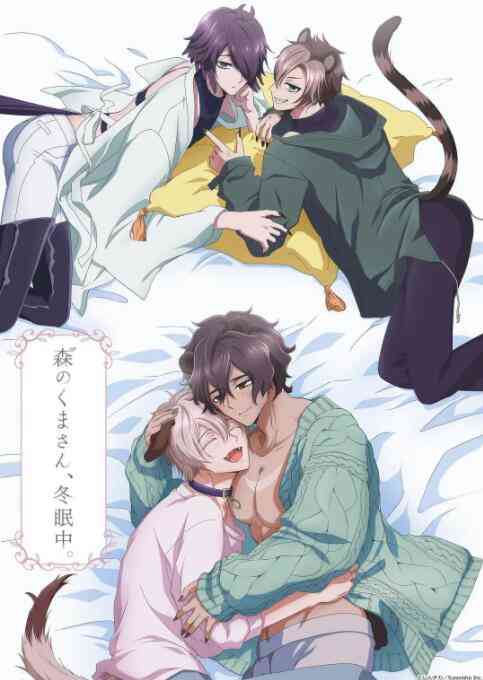 《森林里的熊先生冬眠中》免费高清无广告在线播放|动画,动漫·日本·2022