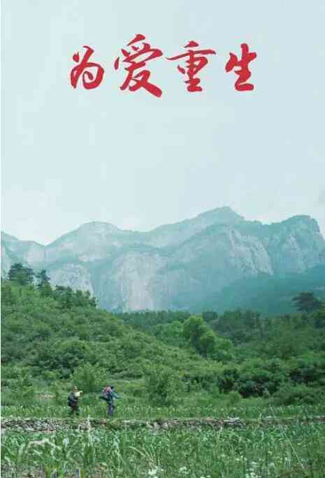 《为爱重生》免费高清无广告在线播放|剧情·中国大陆·2019