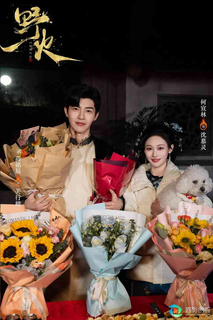 《野火》免费高清无广告在线播放|爱情·中国大陆·2025