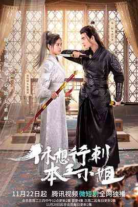 《休想行刺本王小姐》免费高清无广告在线播放|内地,国产·中国大陆·2022