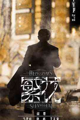 《繁花 普通话》免费高清无广告在线播放|剧情,爱情·中国大陆·2023