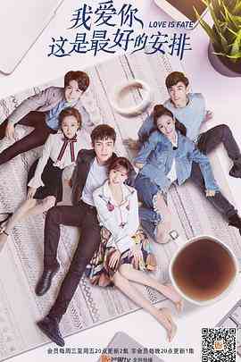 《我爱你这是最好的安排》免费高清无广告在线播放|剧情,爱情·中国大陆·2019