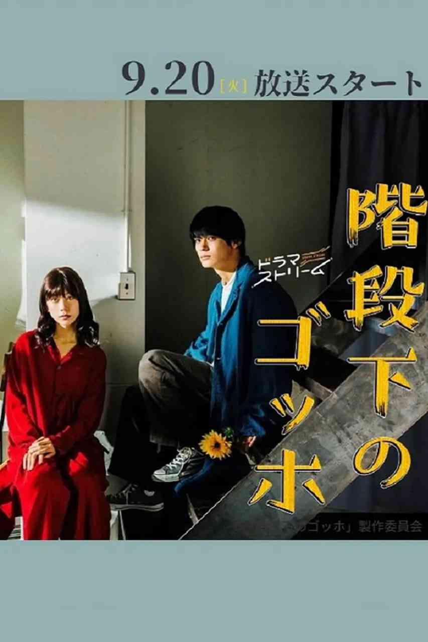 《阶梯下的梵高》免费高清无广告在线播放|剧情·日本·2022