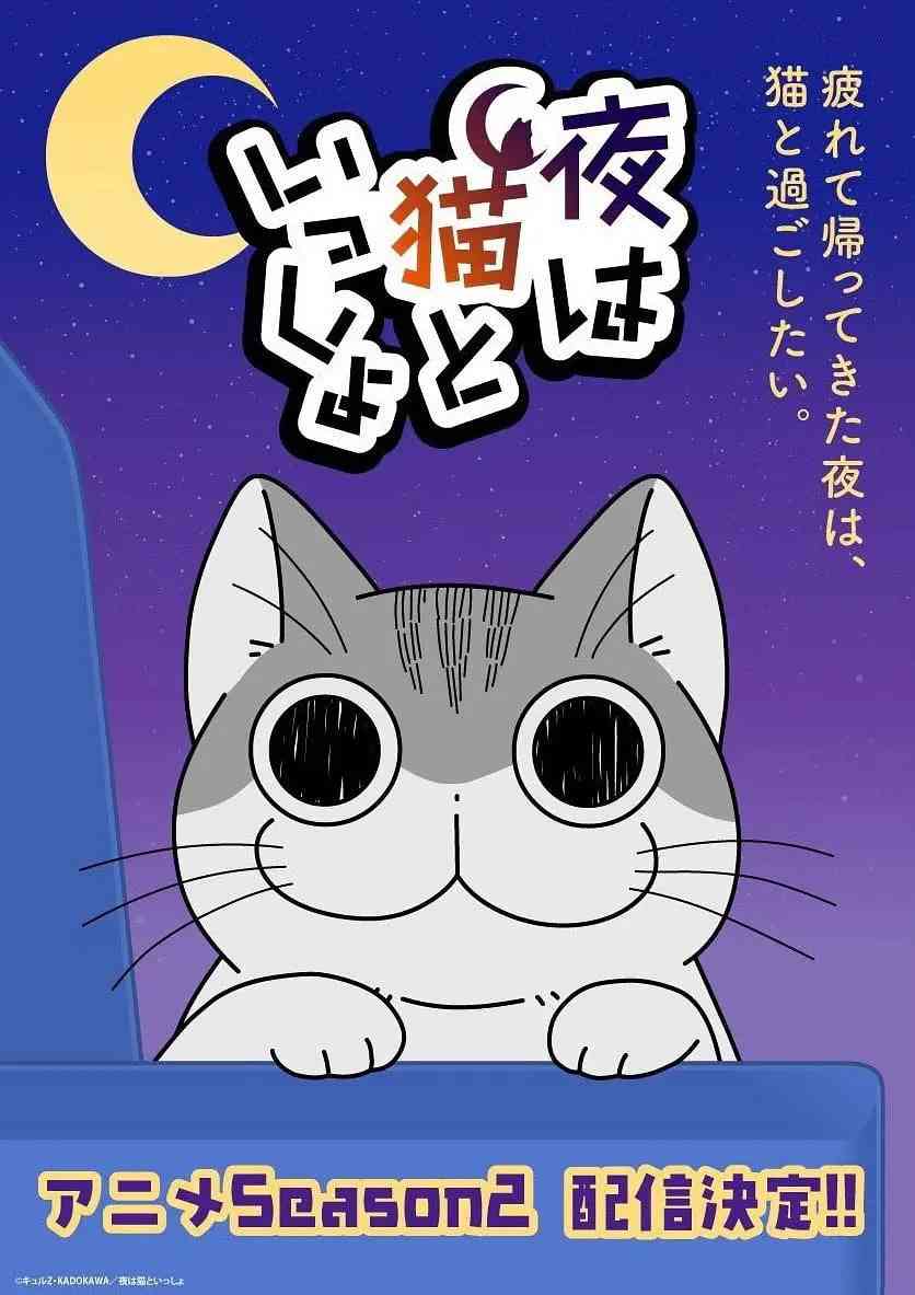 《关于养猫我一直是新手 第二季》全集免费高清动漫无广告在线播放|动画·日本·2023