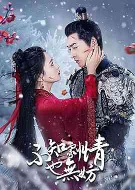 《不知剧情也无妨》全集免费高清电视剧无广告在线播放|剧情,喜剧,爱情,古装·中国大陆·2024