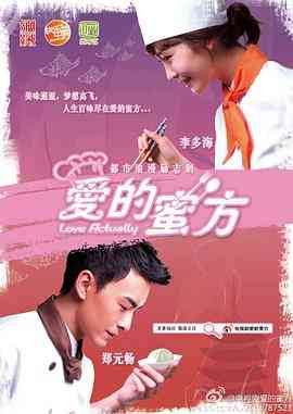 《爱的蜜方》全集免费高清电视剧无广告在线播放|剧情,爱情·中国大陆·2012