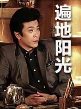 《遍地阳光》全集免费高清电视剧无广告在线播放|剧情·中国大陆·2013