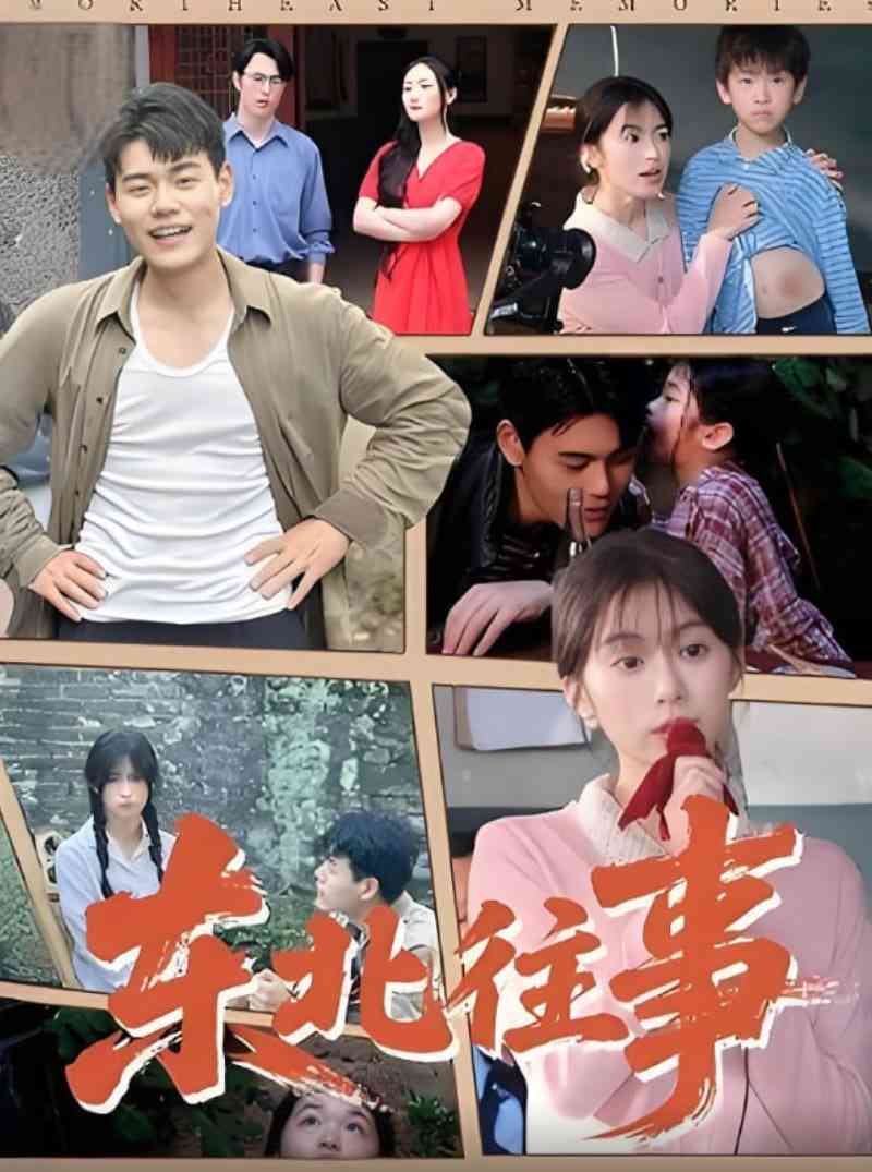 《东北往事》全集免费高清短剧无广告在线播放|短剧·中国大陆·2025