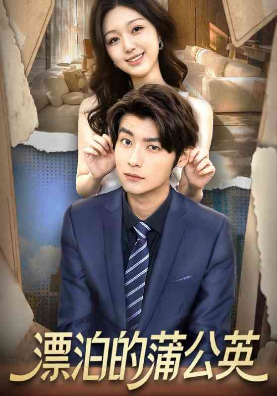 《漂泊的蒲公英》全集免费高清短剧无广告在线播放|短剧·中国大陆·2025