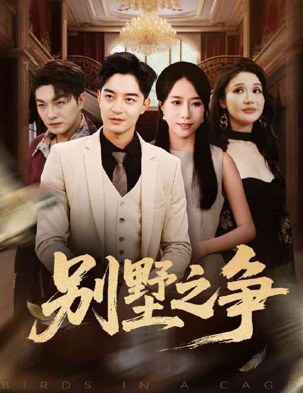 《别墅之争》全集免费高清短剧无广告在线播放|短剧·中国大陆·2025