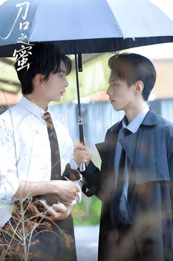 《刀口之蜜》全集免费高清短剧无广告在线播放|短剧·中国大陆·2025