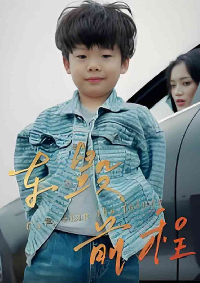 《车毁前程》全集免费高清短剧无广告在线播放|短剧·中国大陆·2025